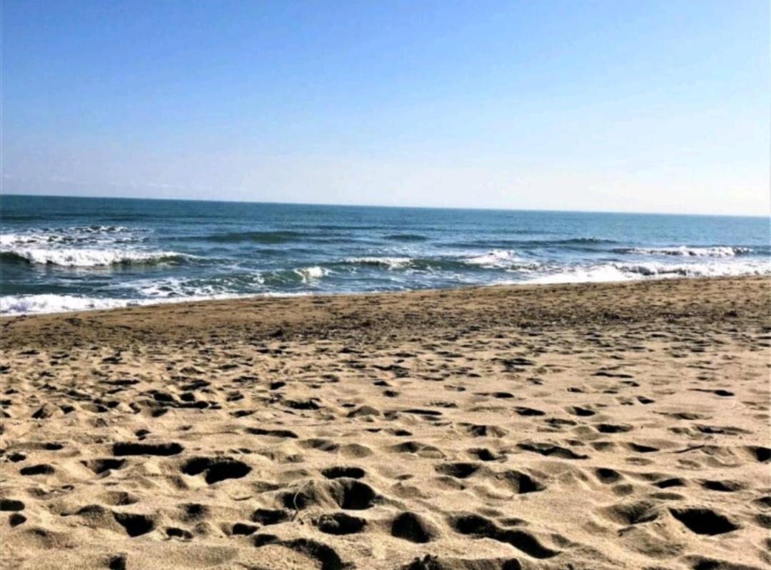 Mobil Home Camping **** Canet En Roussillon Eksteriør bilde